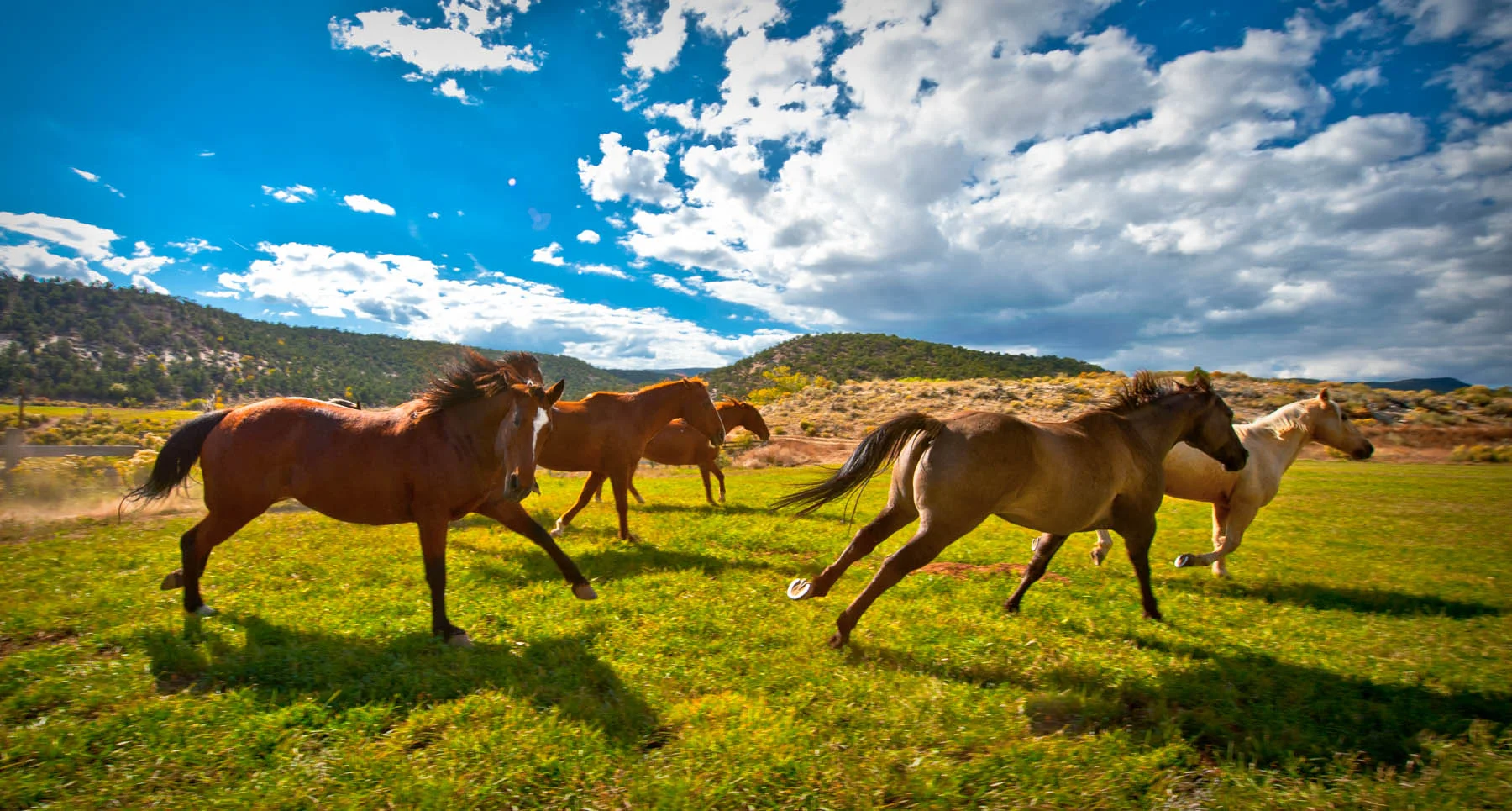websiteimages squarespace-39.jpg