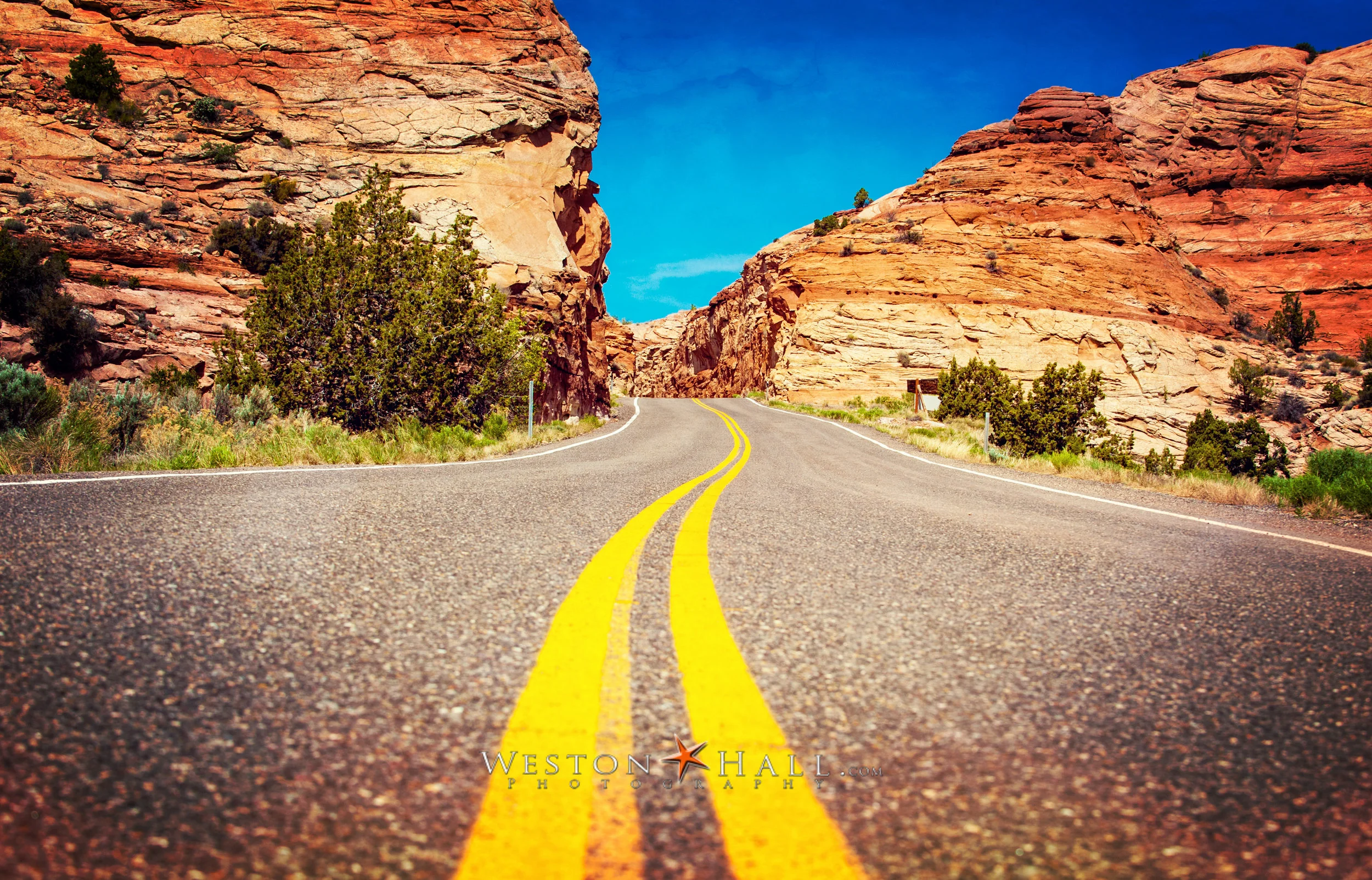 desert road-1.jpg