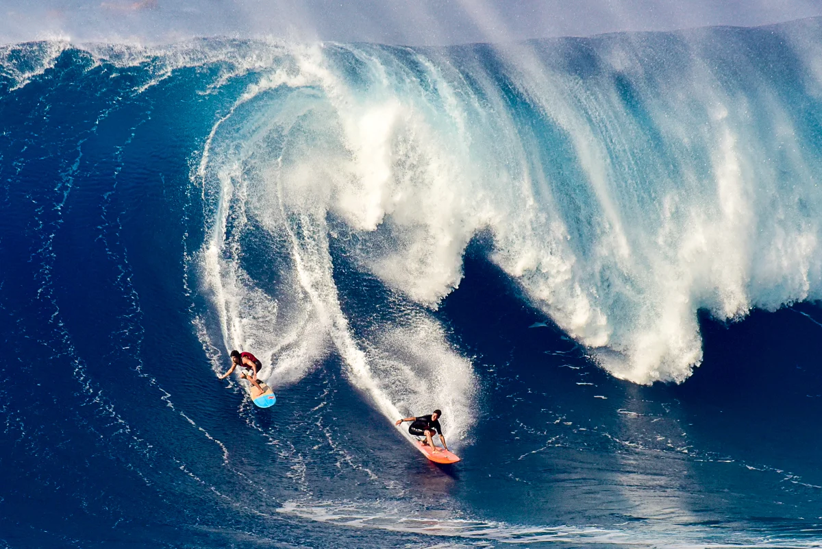 jaws duo-1.jpg