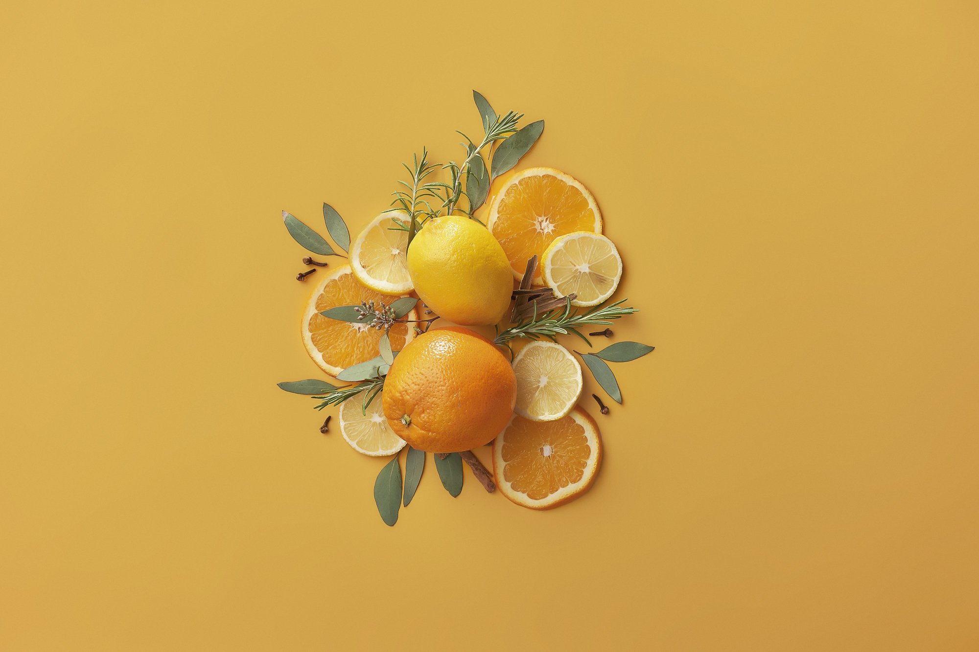 EnrollmentKits_ThievesKit_US_FHS_Botanicals.jpg