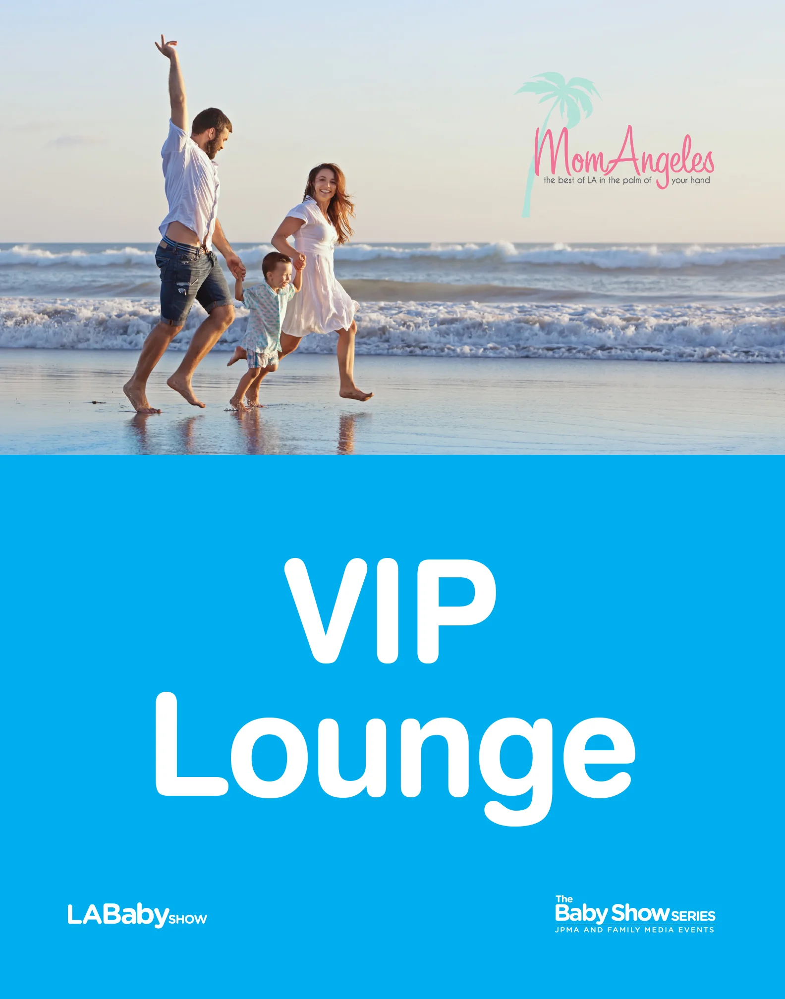 VIP LOUNGE_LABS-22x28.jpg