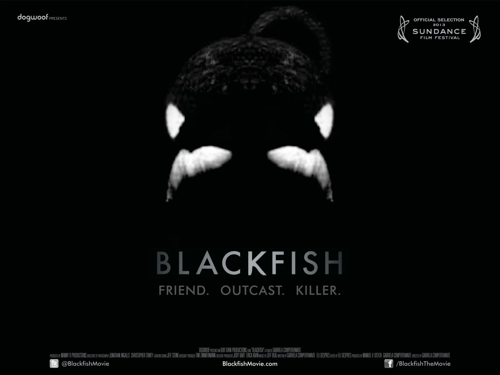 blackfish.jpg