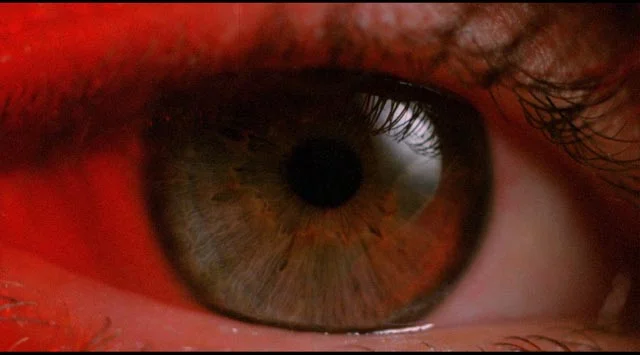 White of the Eye
