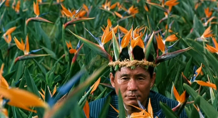Takeshi Kitano 2.jpg