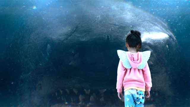 the meg1.jpg