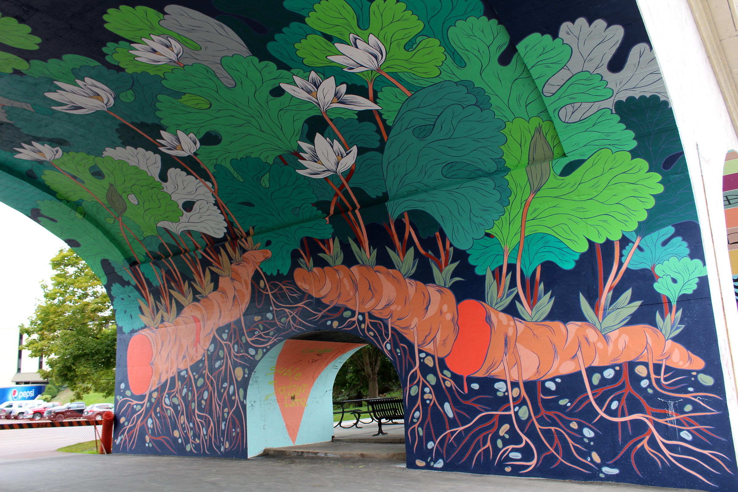 BloodrootFor City of Peterborough/Artspace PTBO // PETERBOROUGH, ON</p>