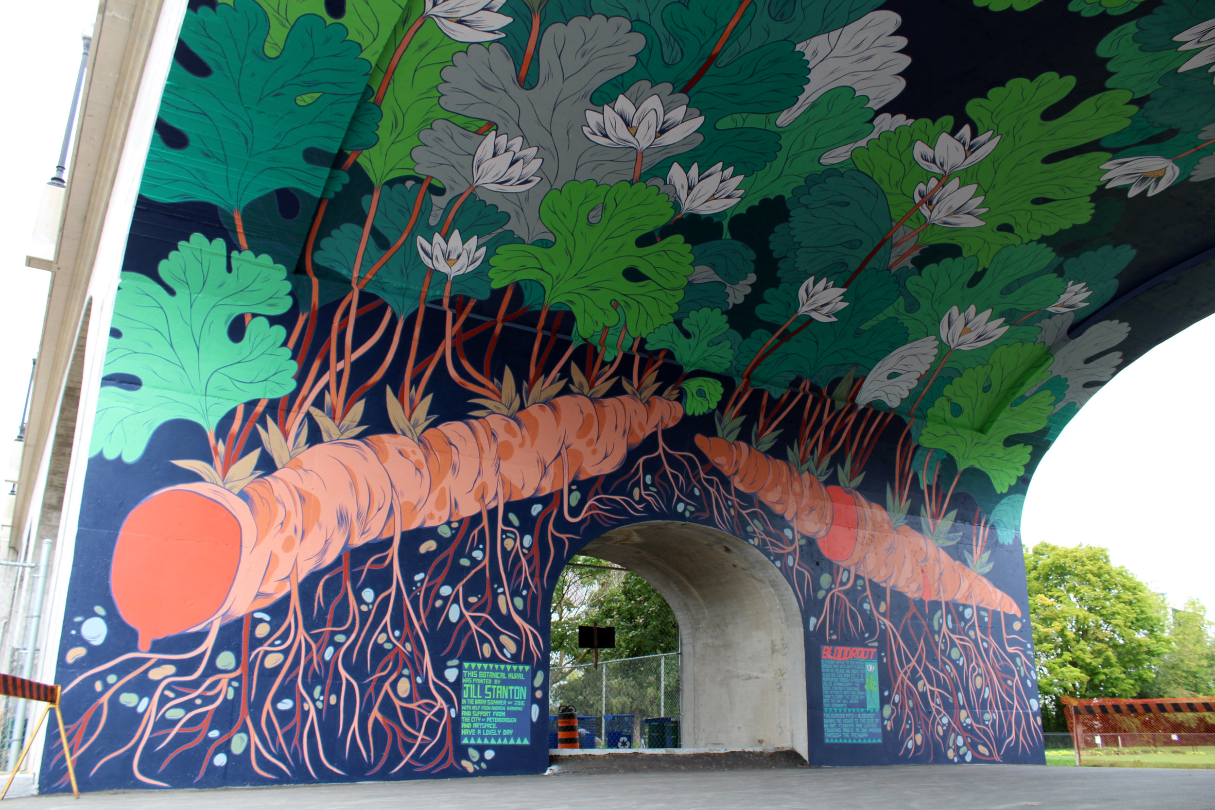 BloodrootFor City of Peterborough/Artspace PTBO // PETERBOROUGH, ON</p>