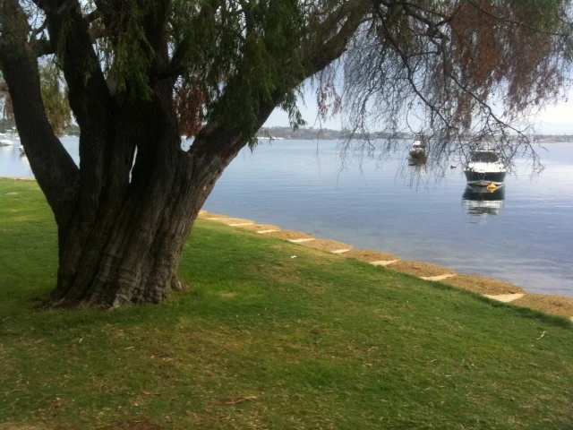 Green Place Reserve Mosman Park