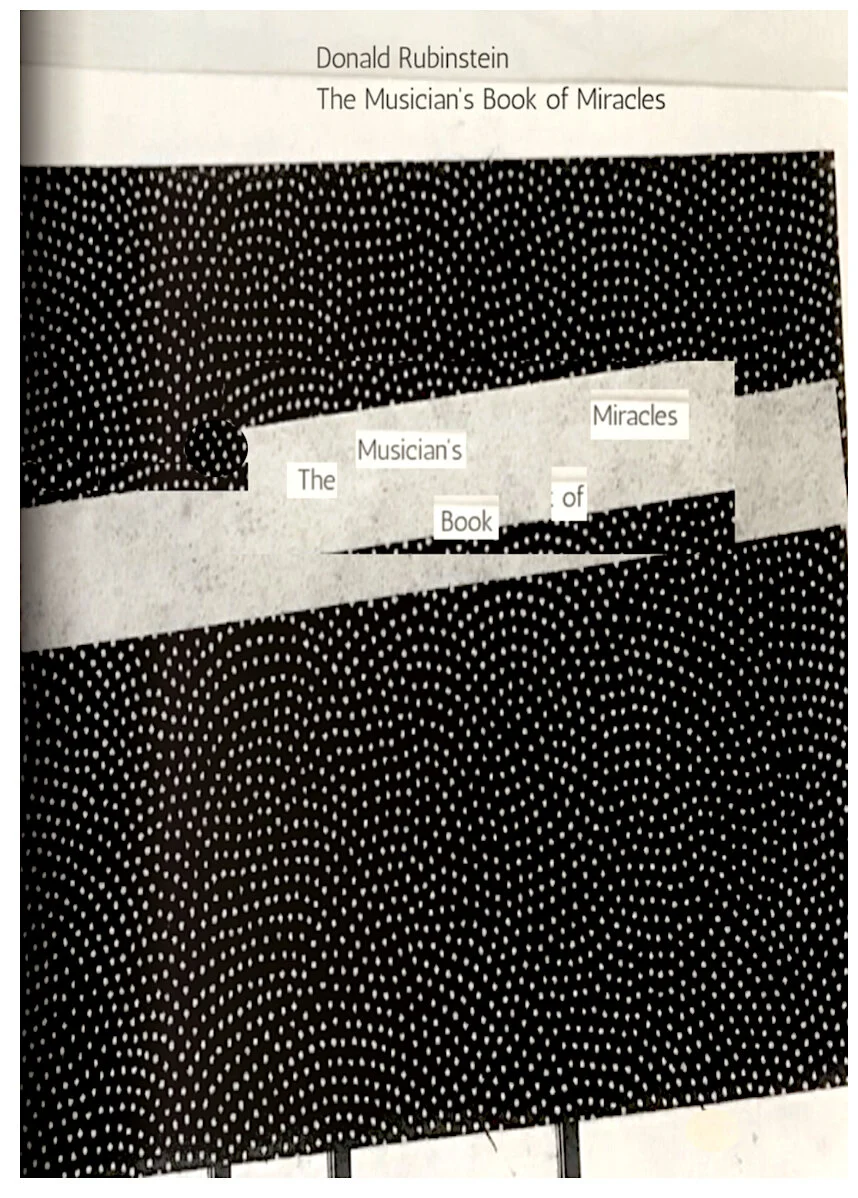 The Musician's Book of Miracles copy 2.jpg