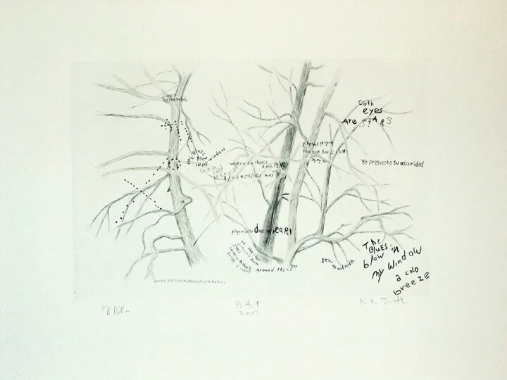 Seed 