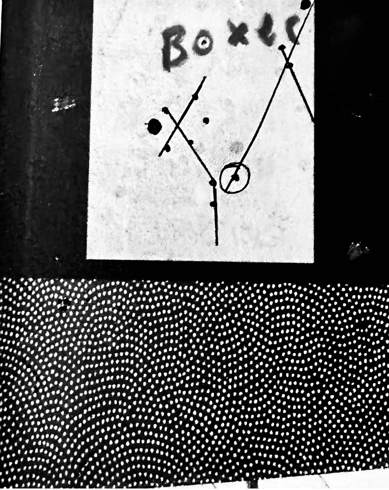 IMG_2880 copy.jpeg