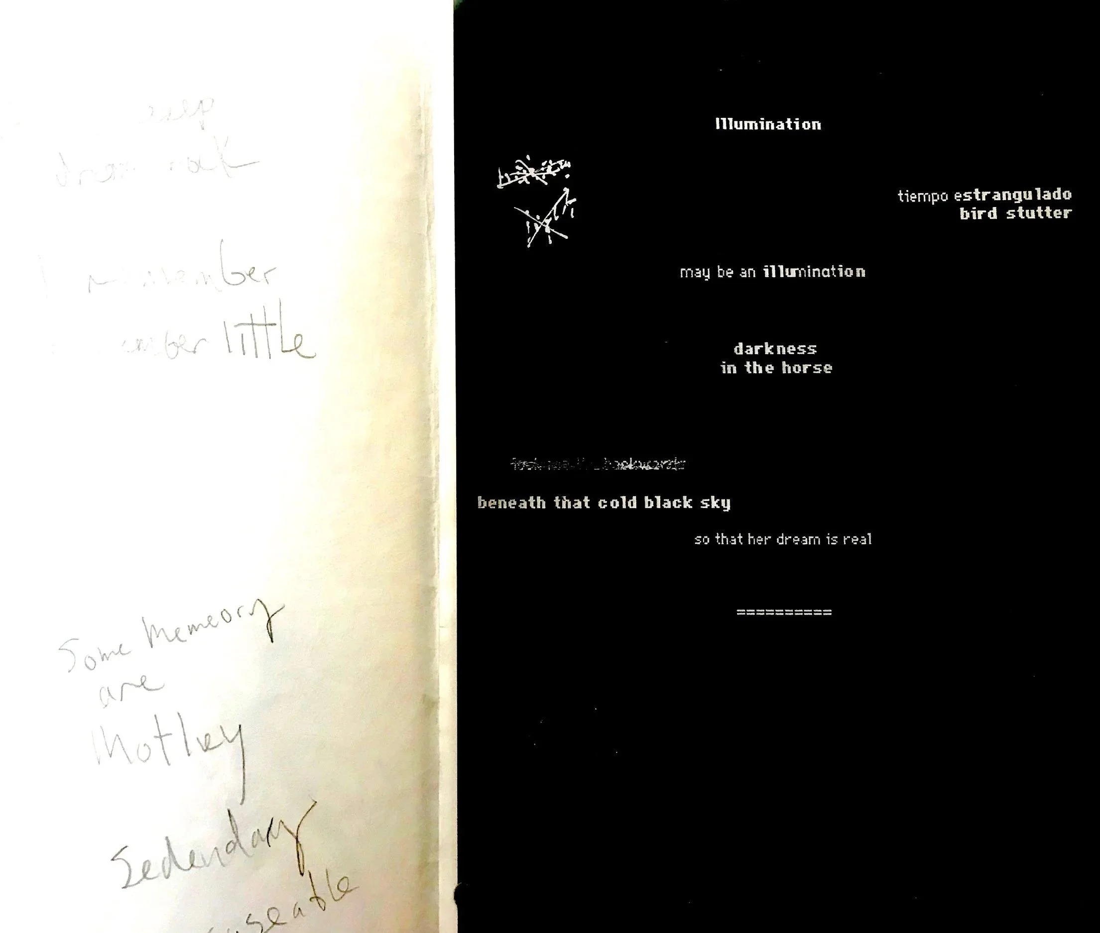 Donald Rubinstein / Kiki Smith