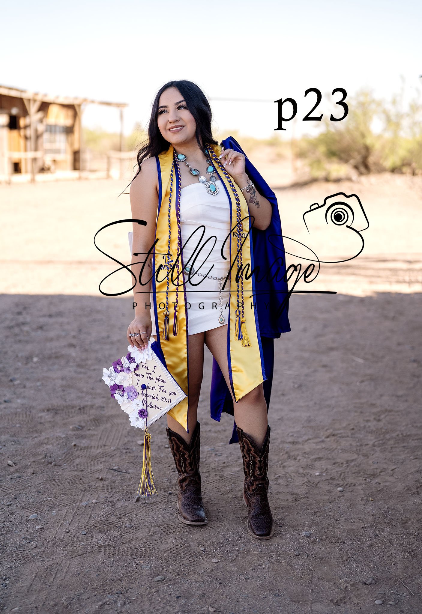sip23.jpg
