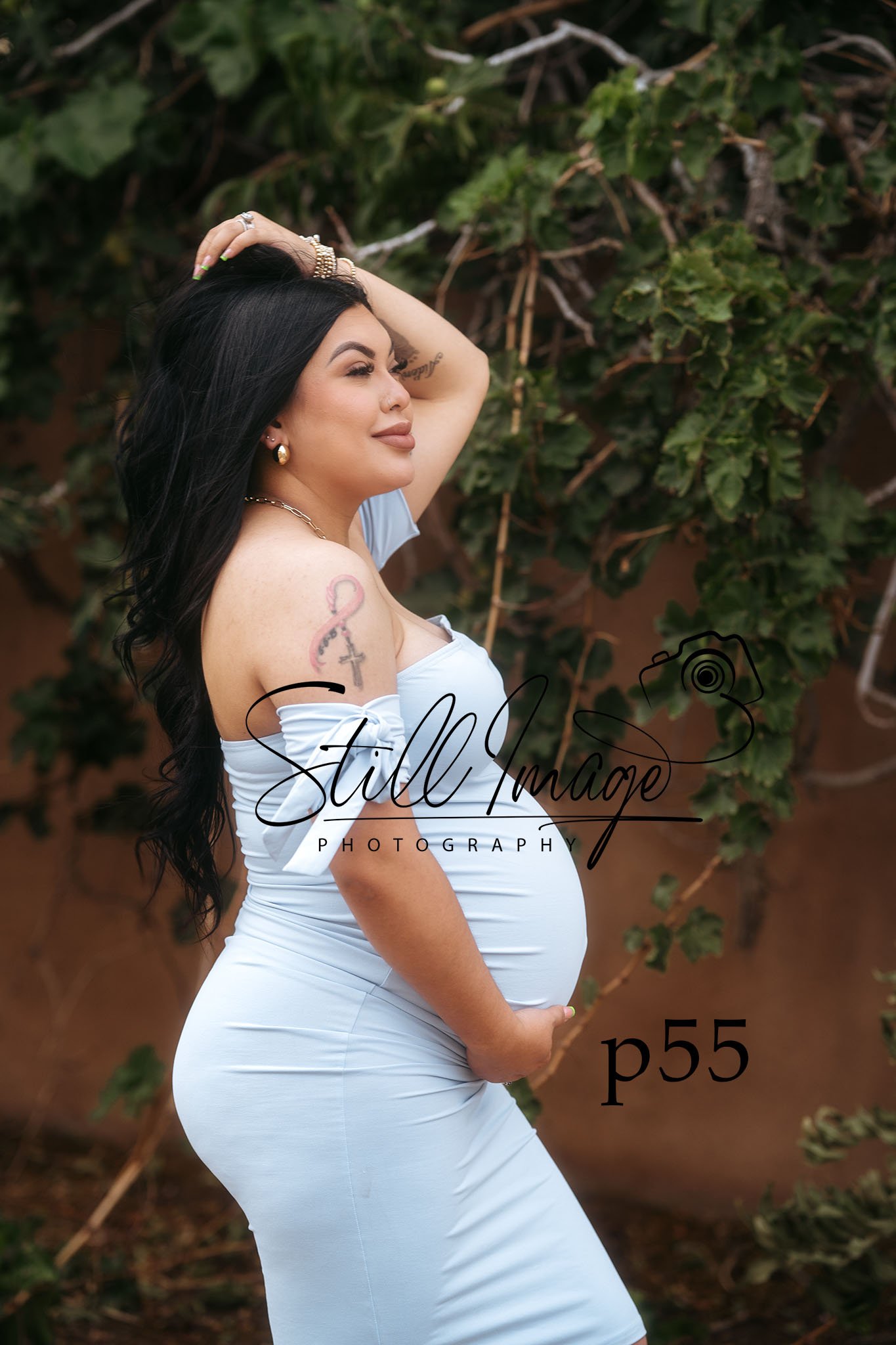 sip55.jpg