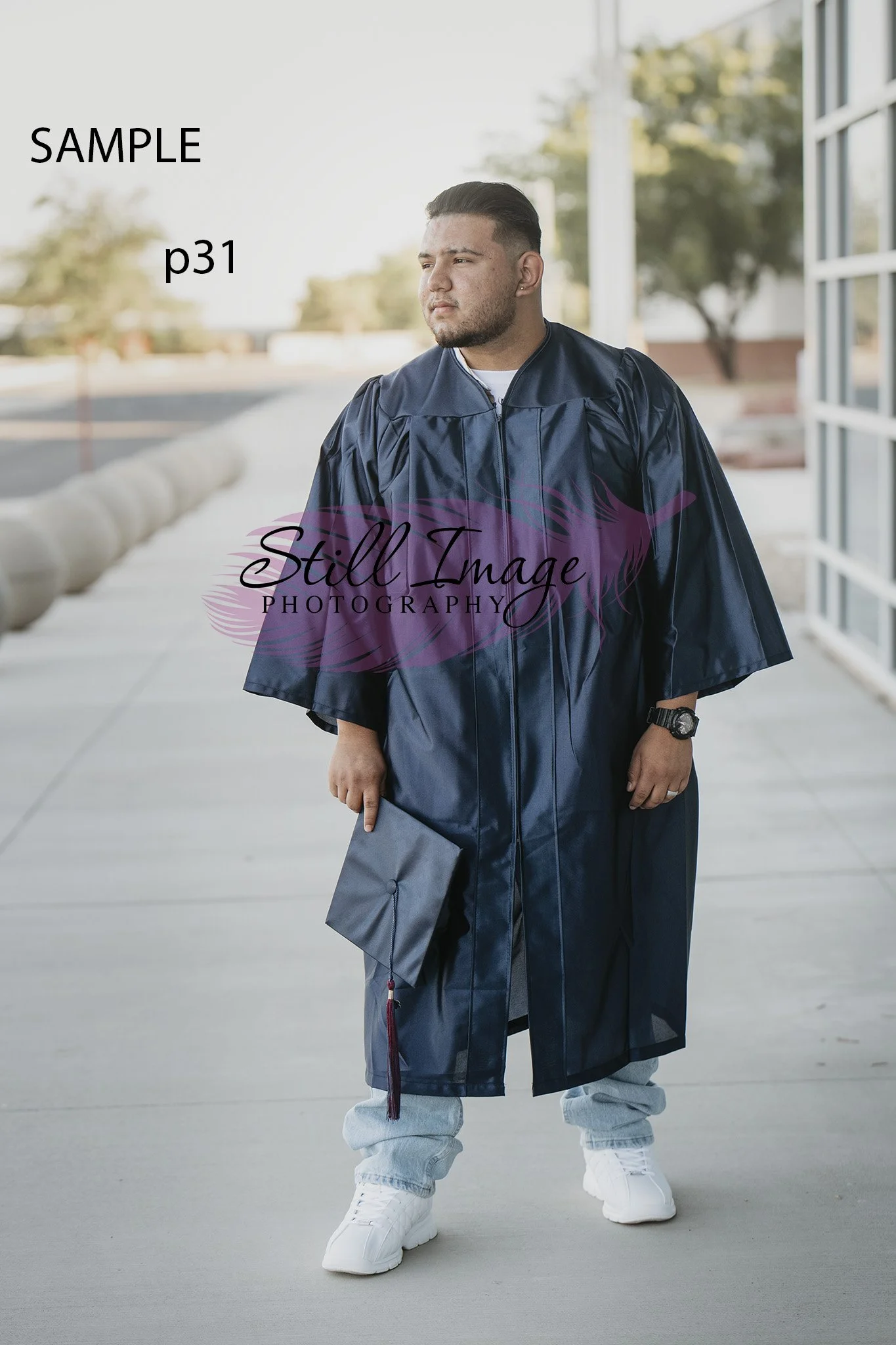 sip31.jpg
