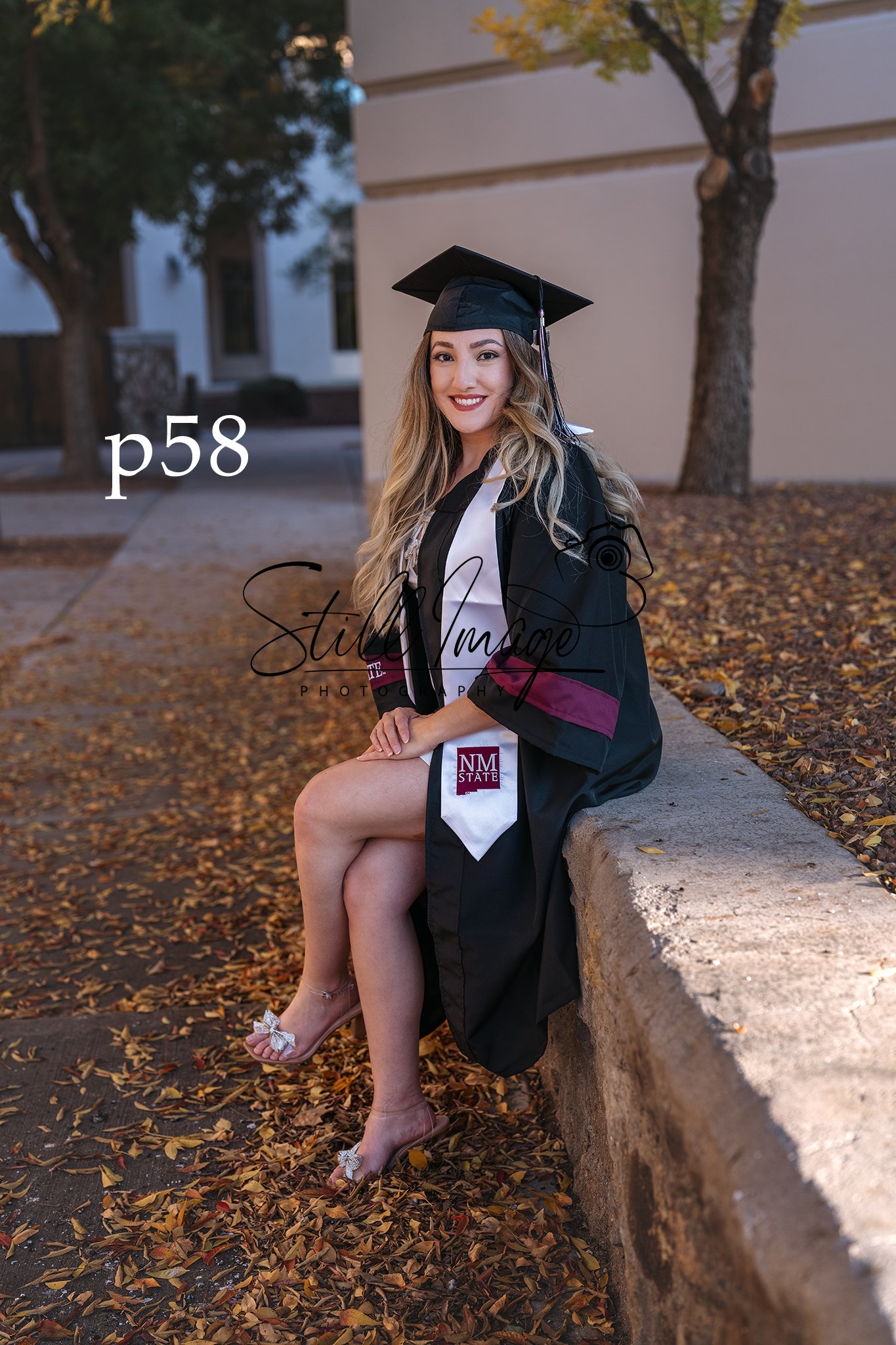 sip58.jpg