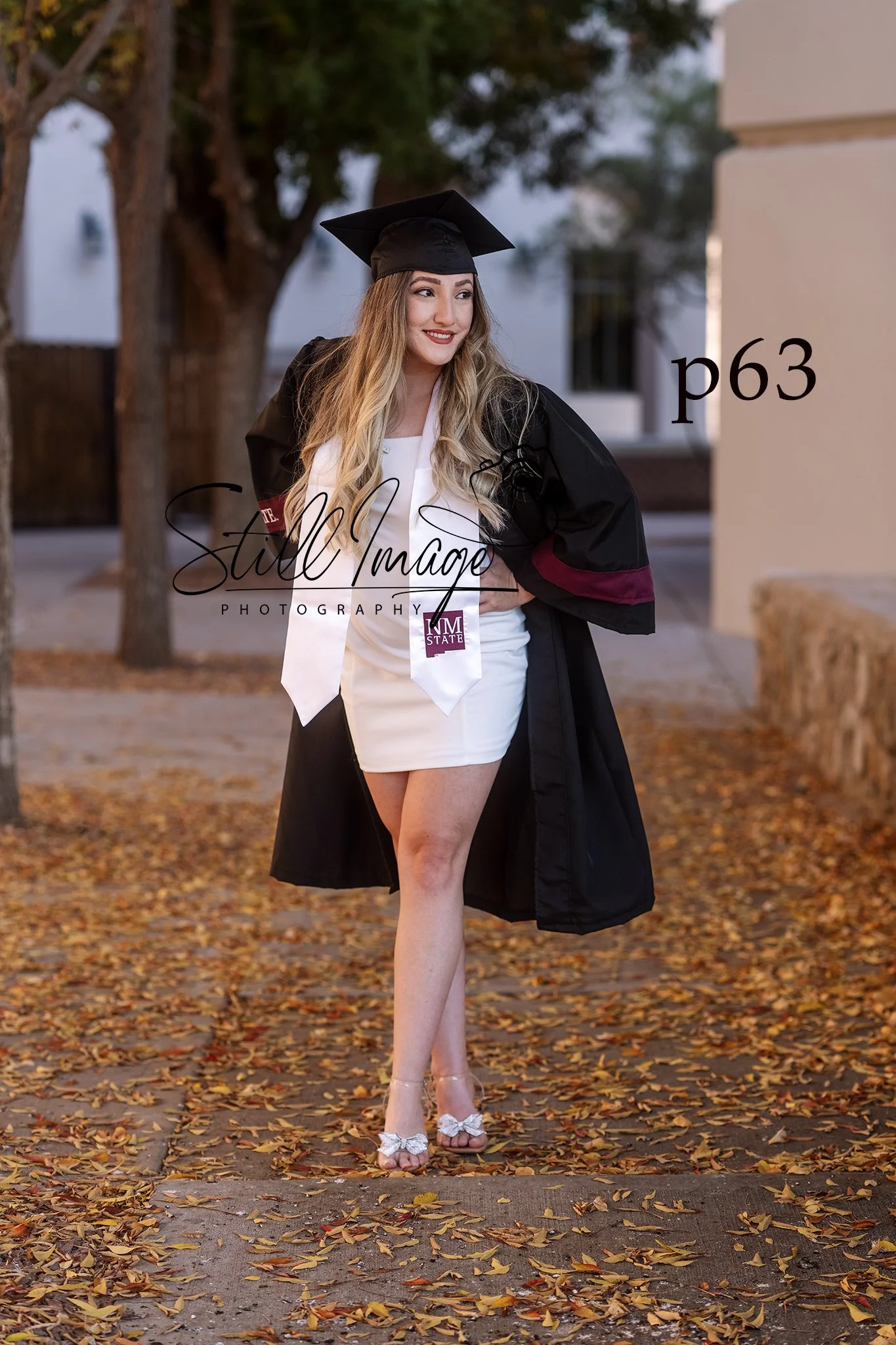 sip63.jpg