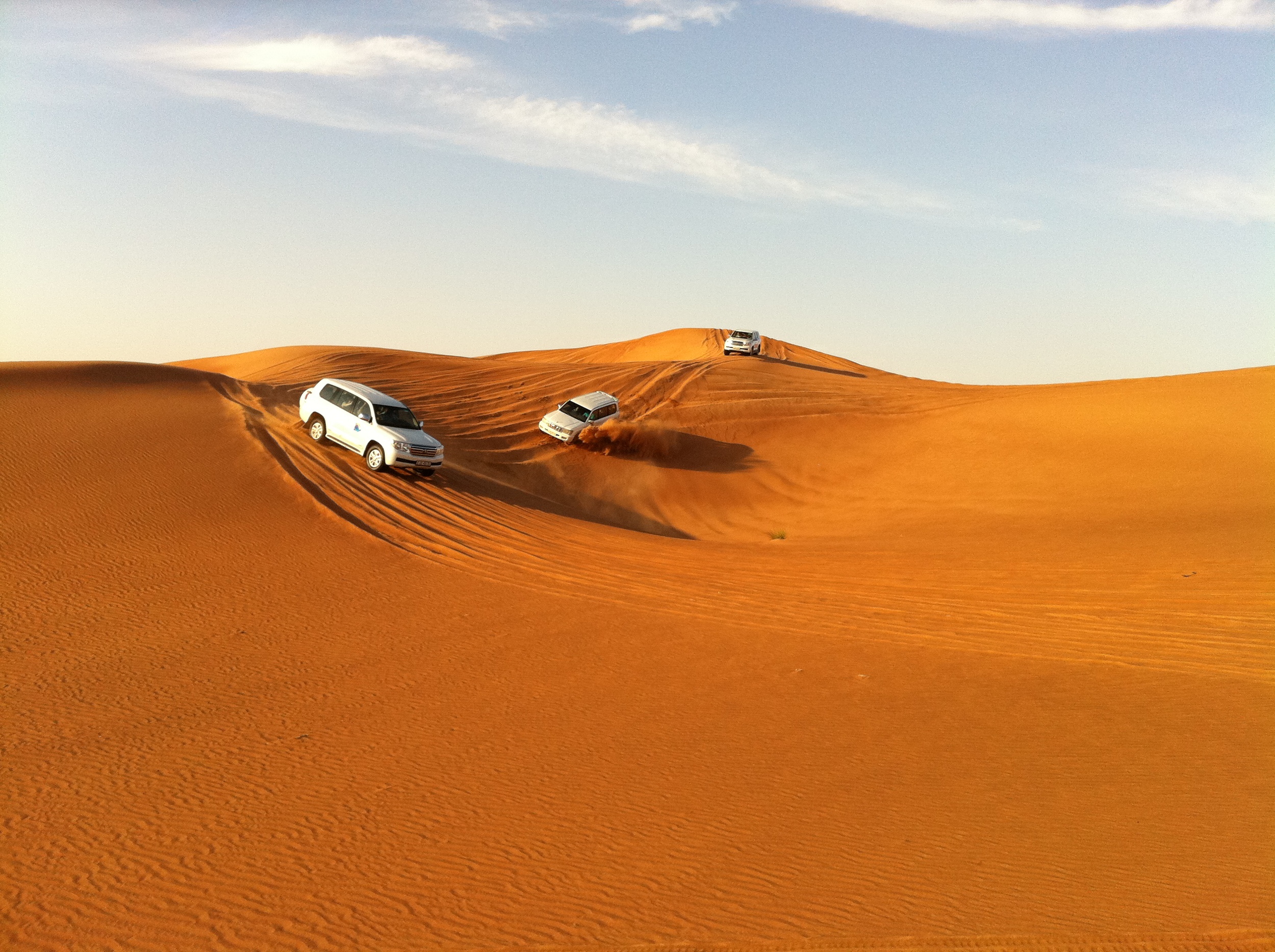 dubai desert safari.jpg