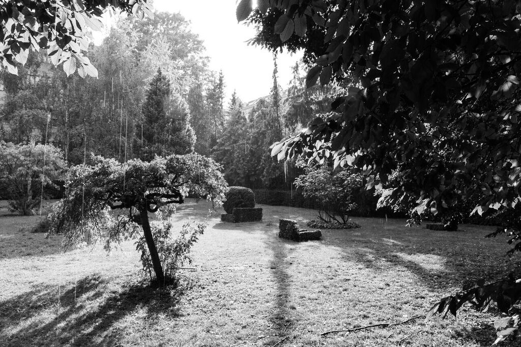 unspecified (143).jpg