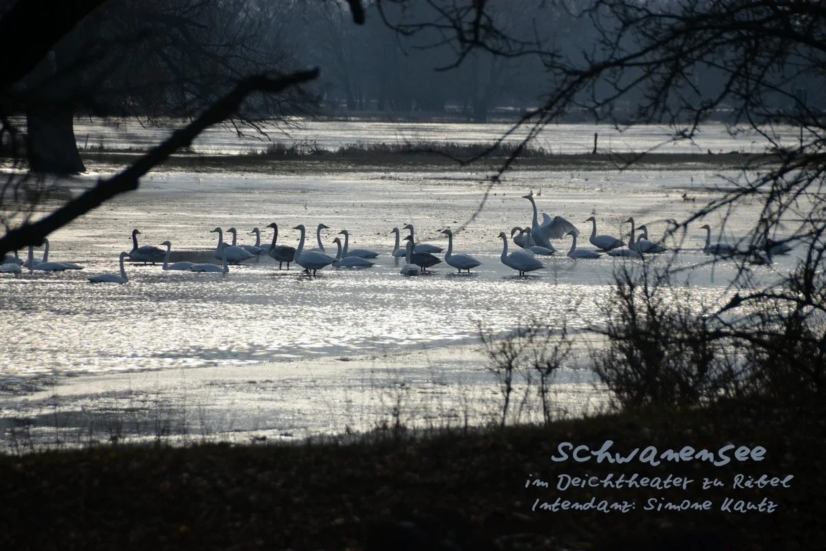DSC_9737 Kopie.jpg