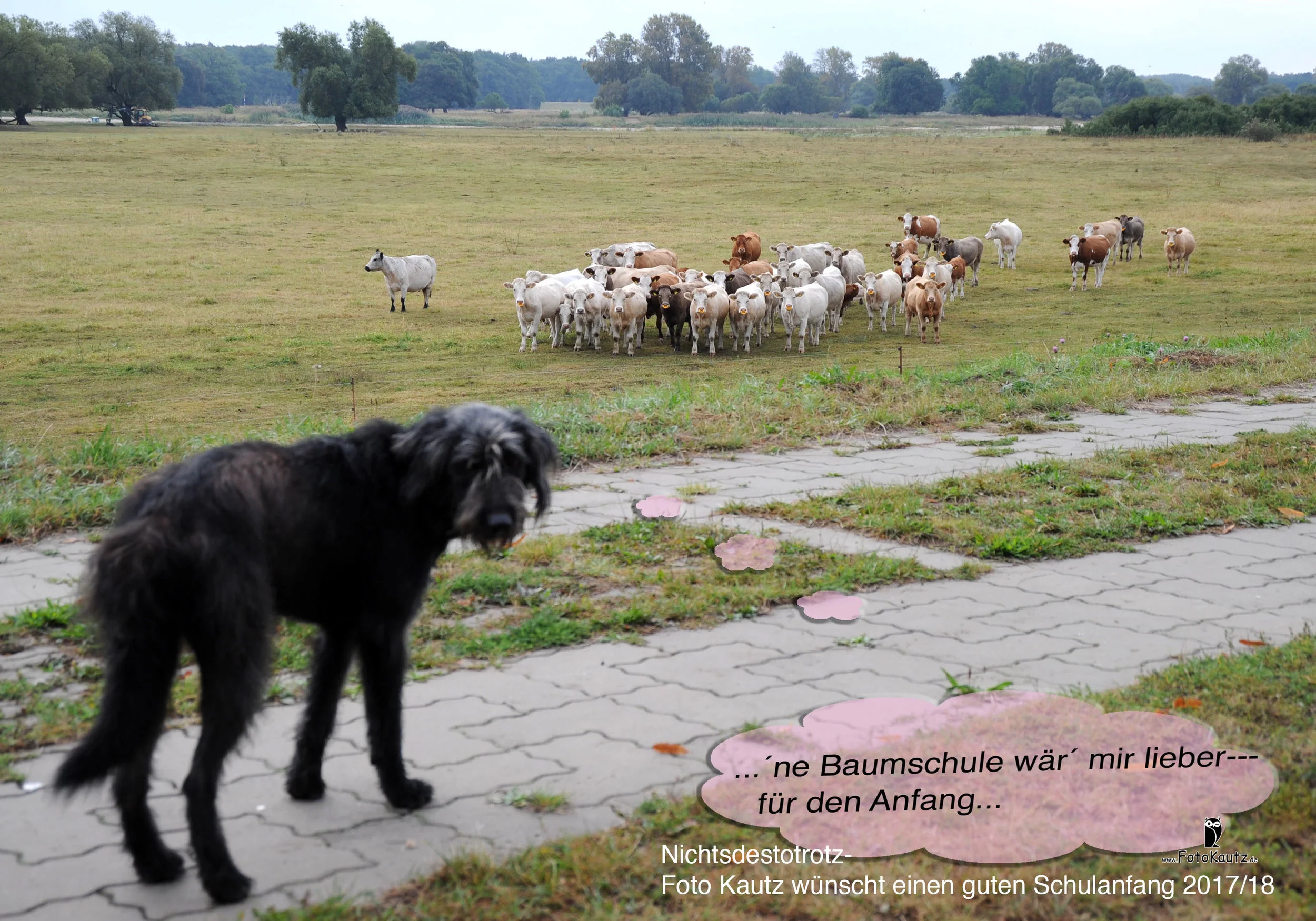 Jahresfoto SIK_6424.jpg