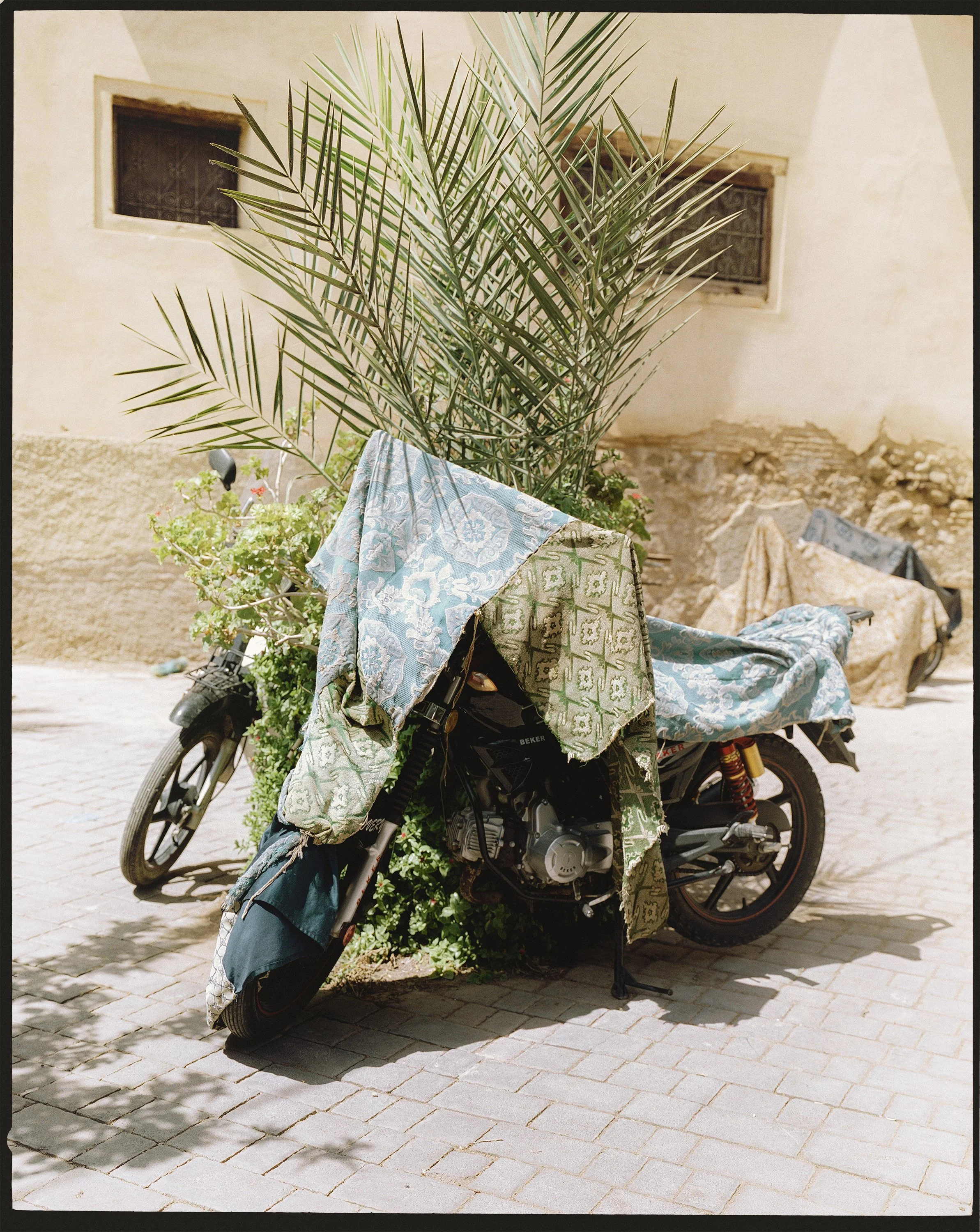 MORROCO (31) copy.jpg
