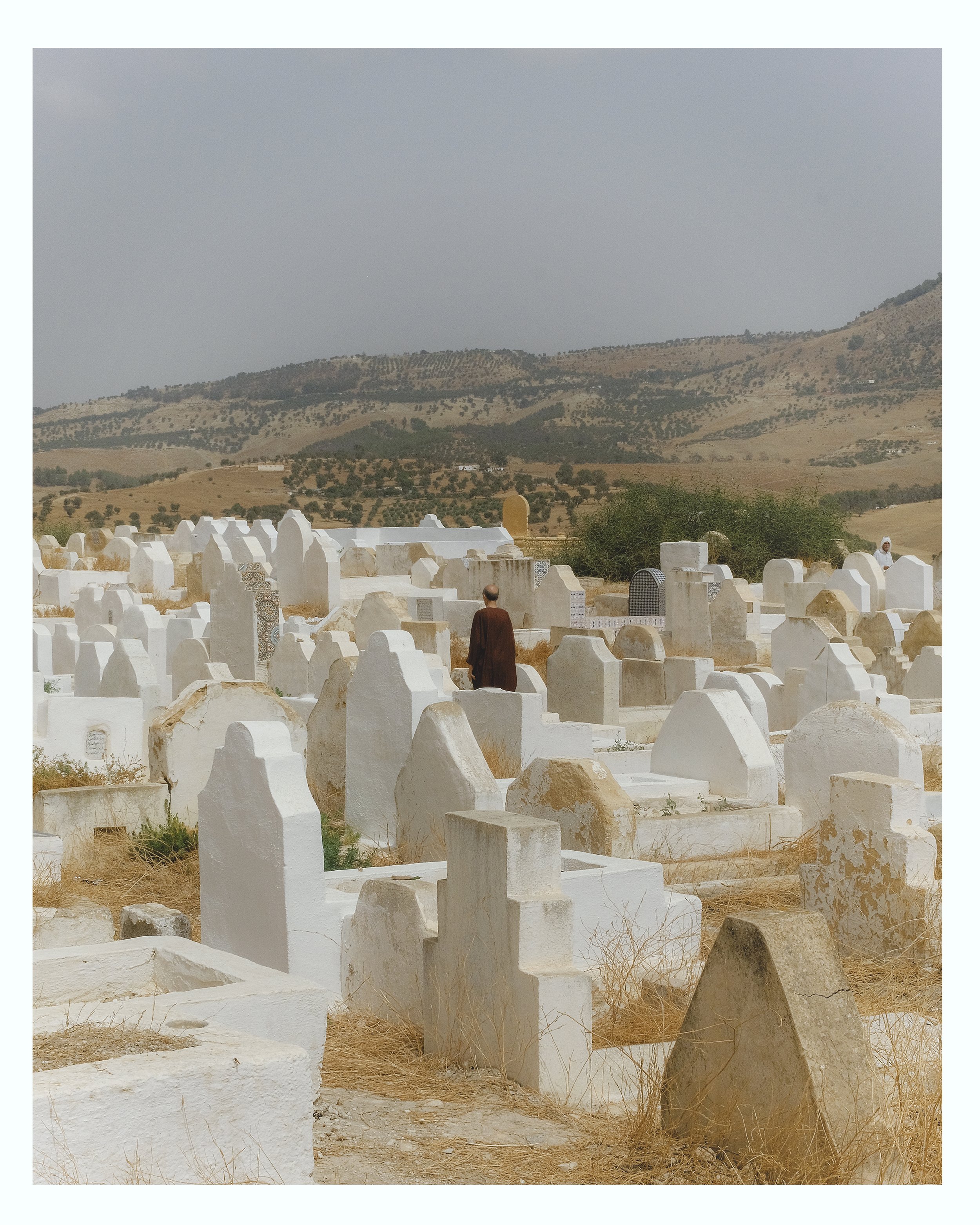 IZMR0846 cover.jpg
