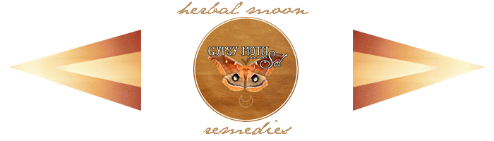 gypsy moth sol banner.png