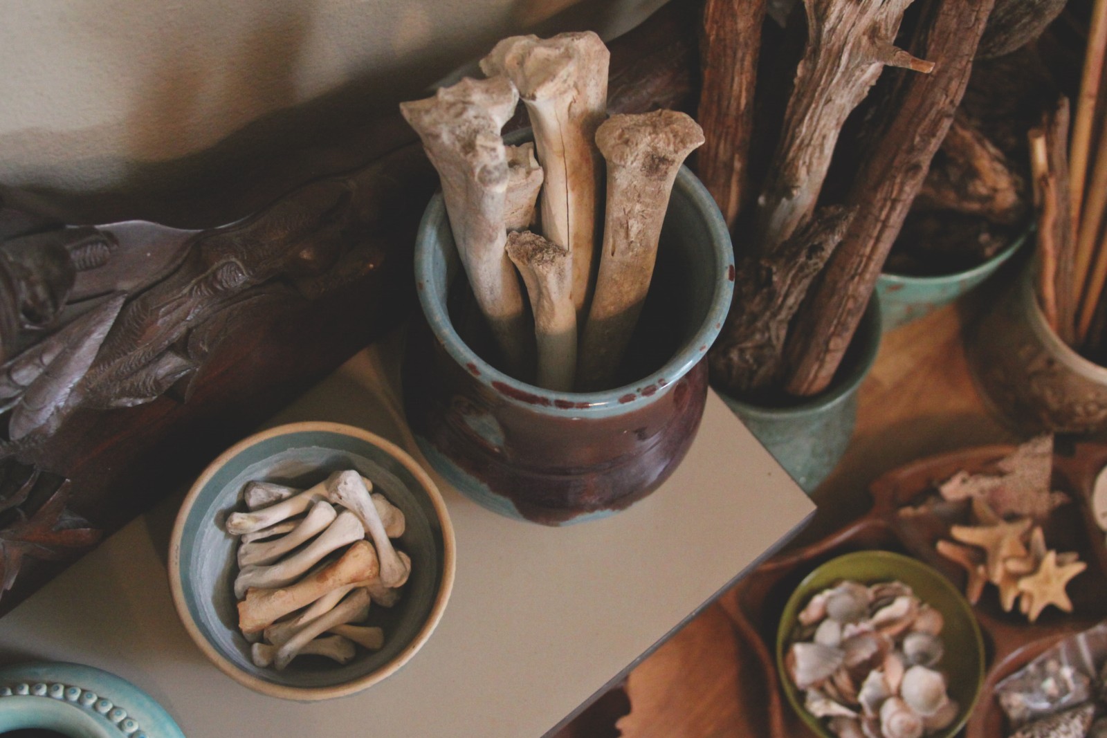 roots and feathers studio www.rootsandfeathers.com.jpg