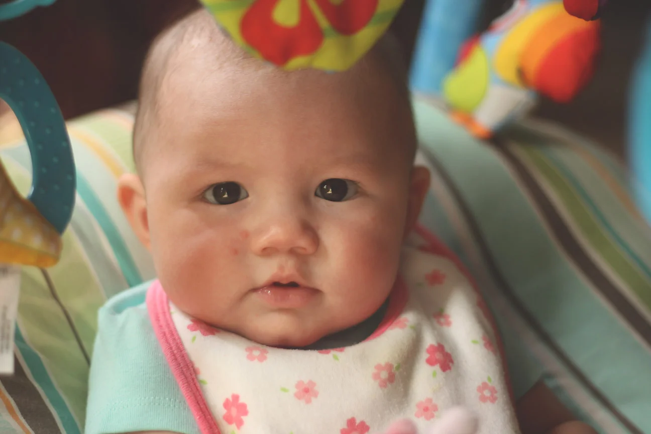 laurel lee.jpg