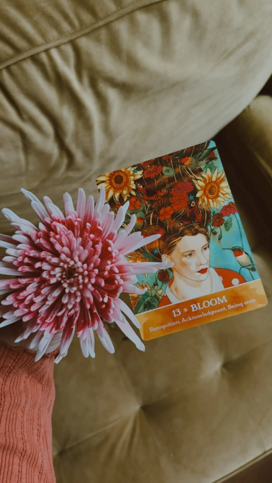 dbbf52fd-f41f-447d-af86-1274bf484490.jfif