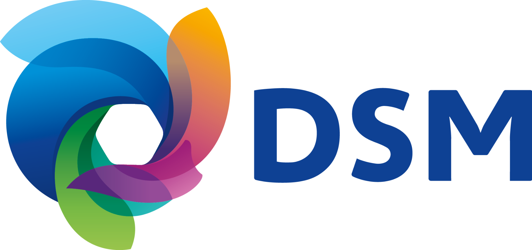 logo_dsm.png