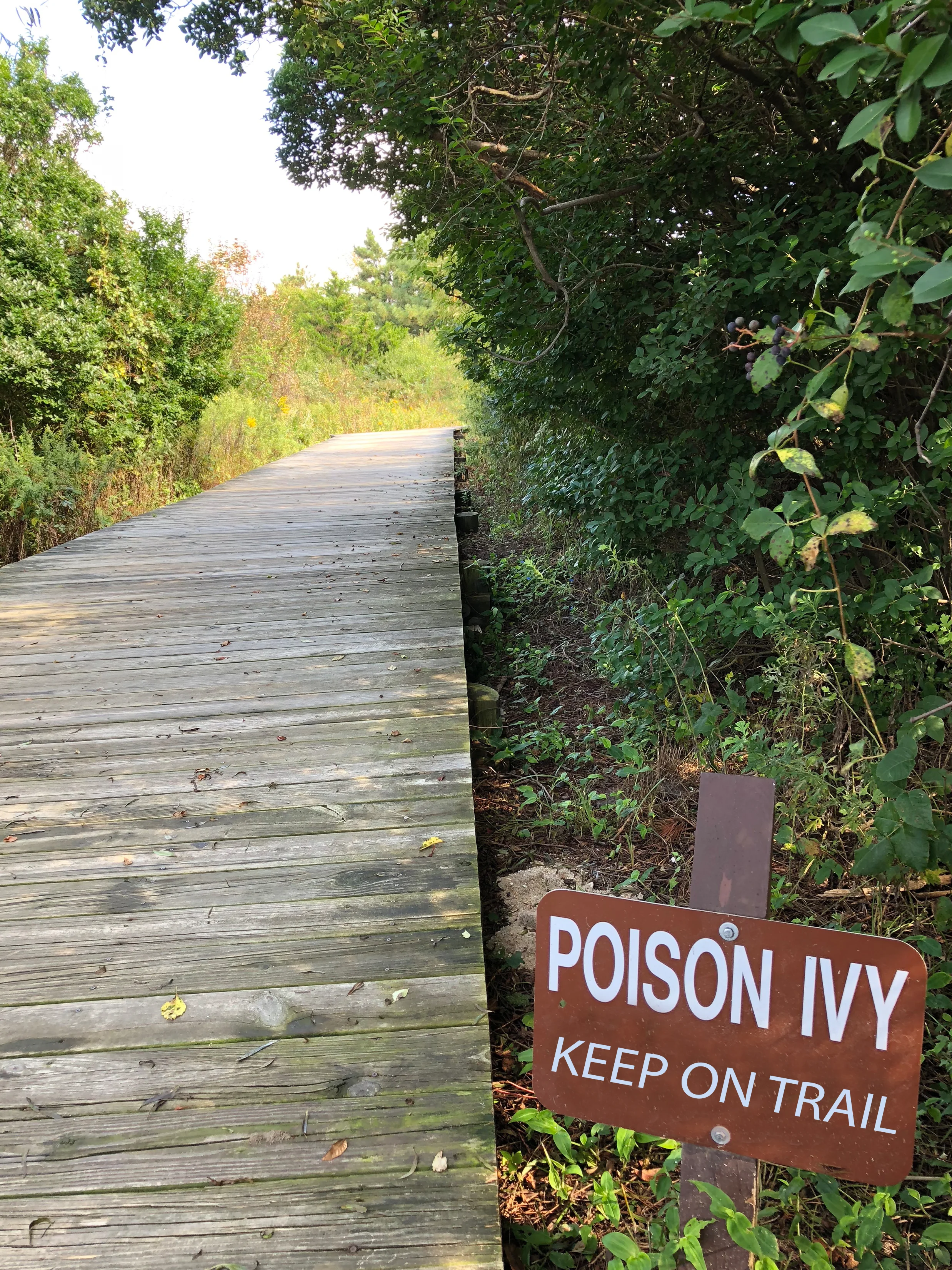 Photo edited in Photoshop to remove ‘KEEP OUT’ and replace with ‘KEEP ON TRAIL’