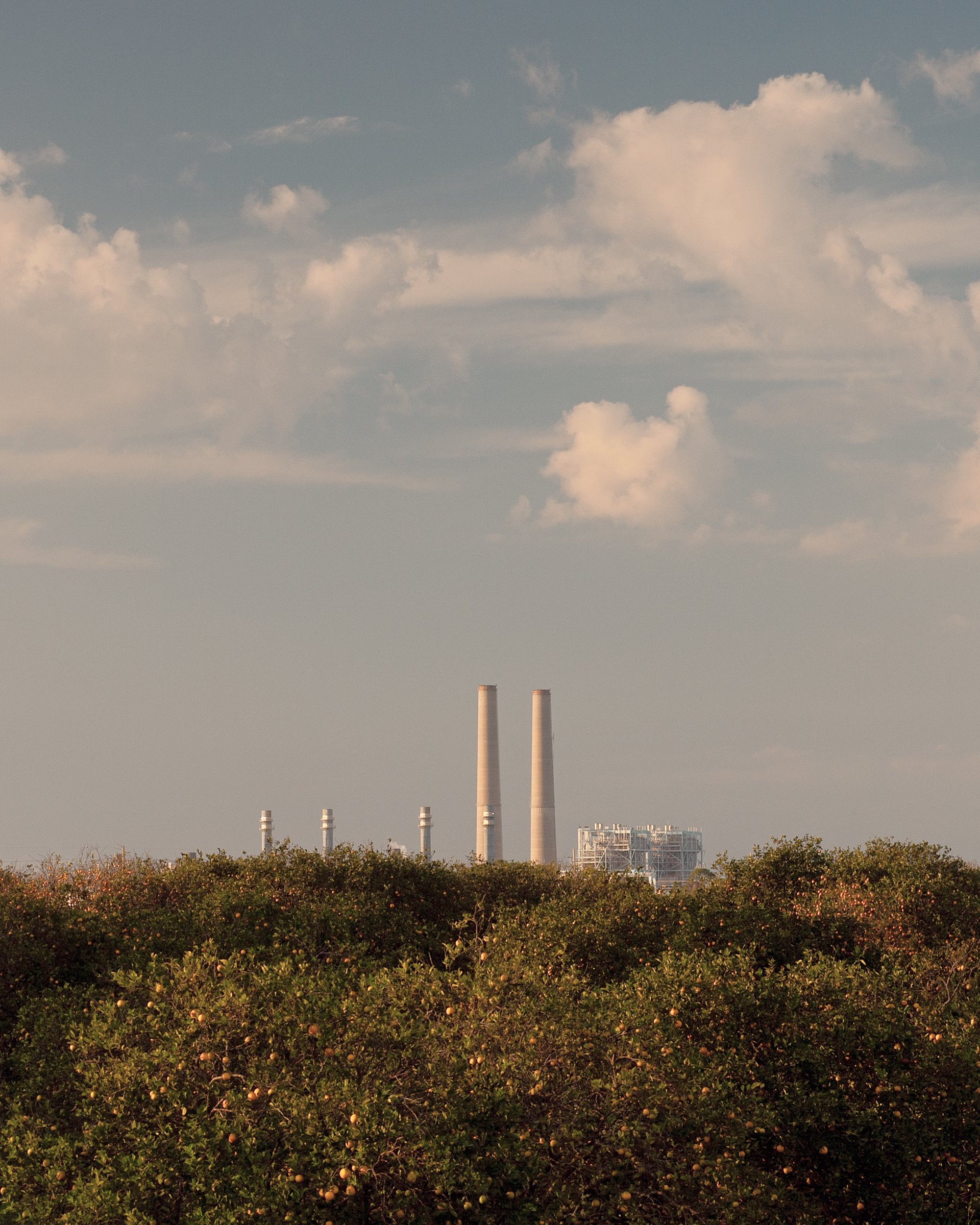 Florida's Energy Landscape