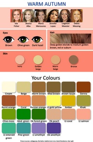 What is your color palette?