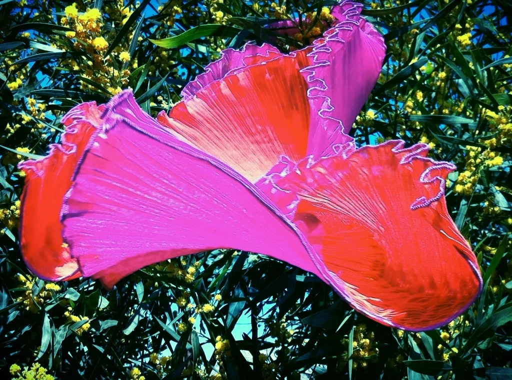 'Summer Breeze' by Daphne Valente at Liana Vourakis'store!