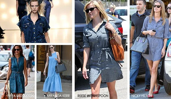 Celebrities in their favorite denim dress