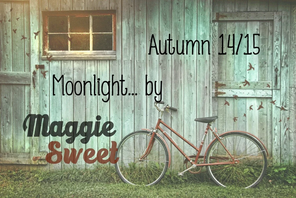 The new Maggie Sweet Collection by FAVELA