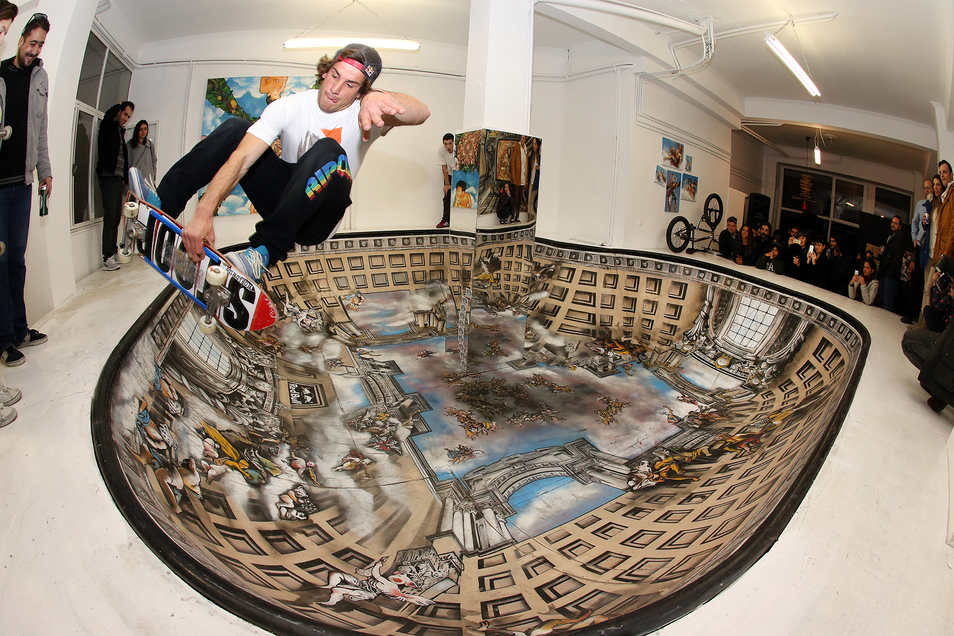 ANIMAL_SKATE_RAMP_2.jpg