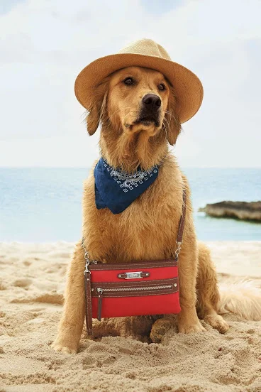 Summer '15_Page_39.jpg