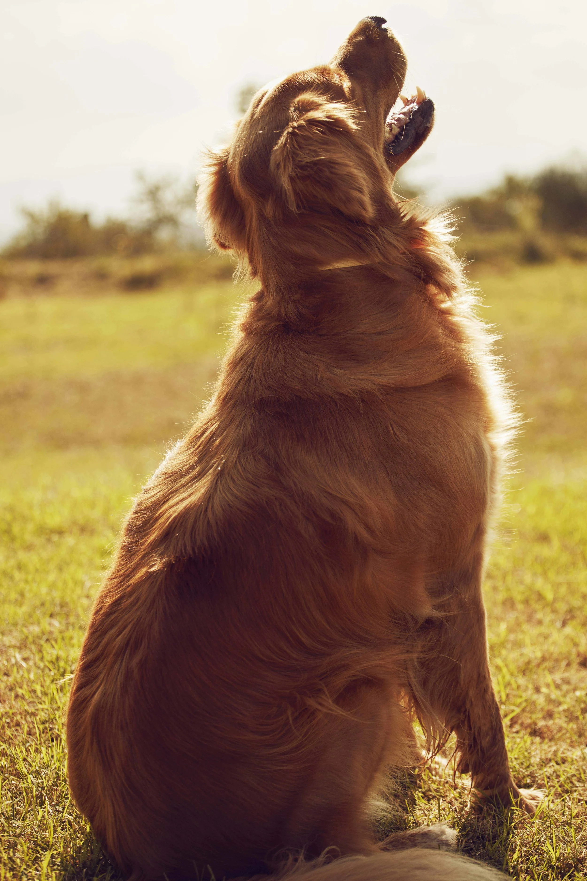 BSK - Look Book October15 (11).jpg