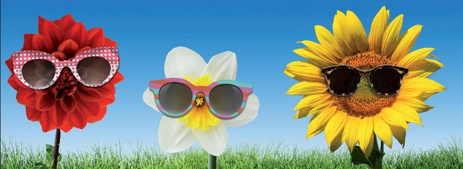 Το SAFILO GROUP & η SWATCH ανακοινώνουν συμφωνία πενταετούς συνεργασίας  