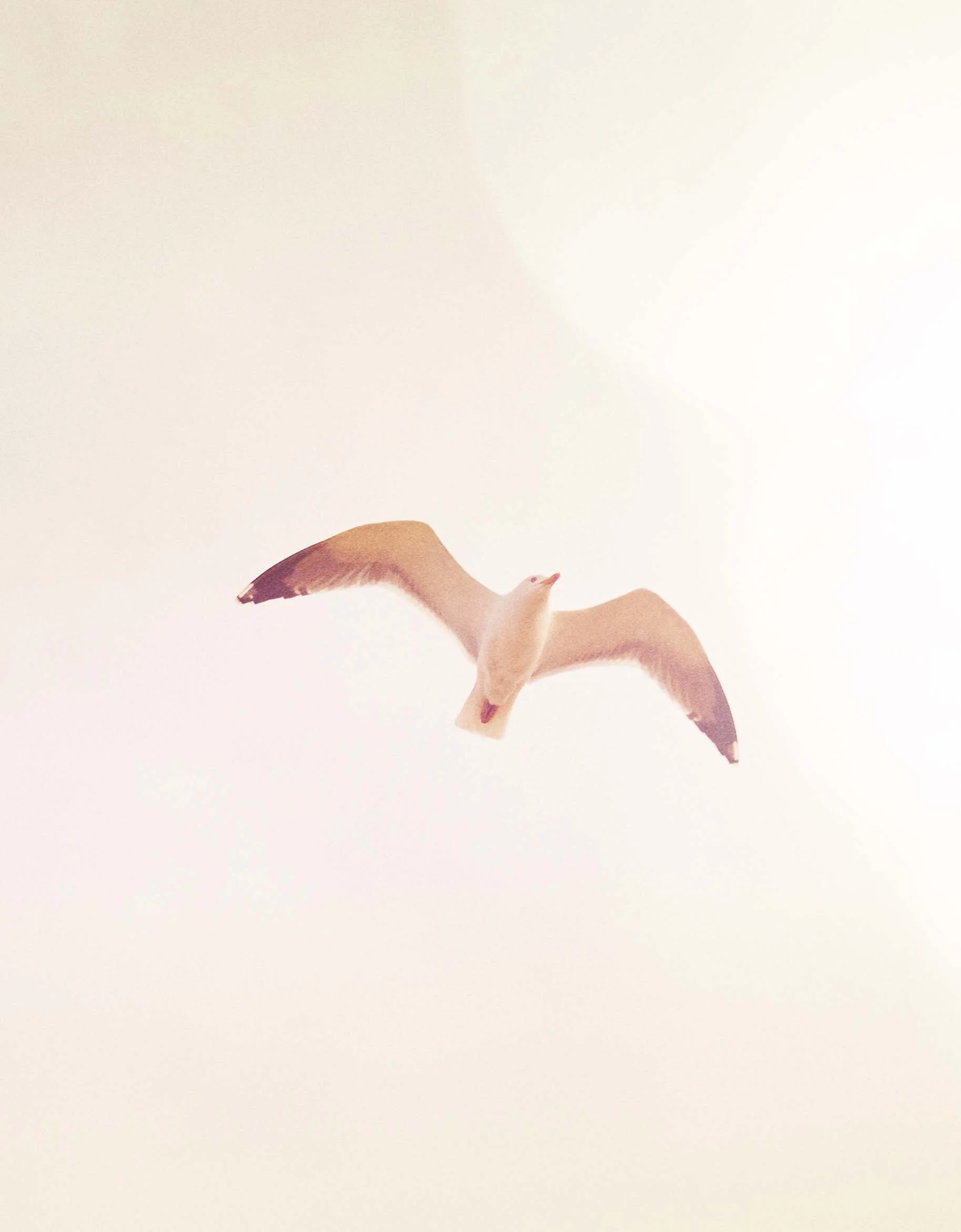 Look Book HOLIDAYS Bershka (12).jpg