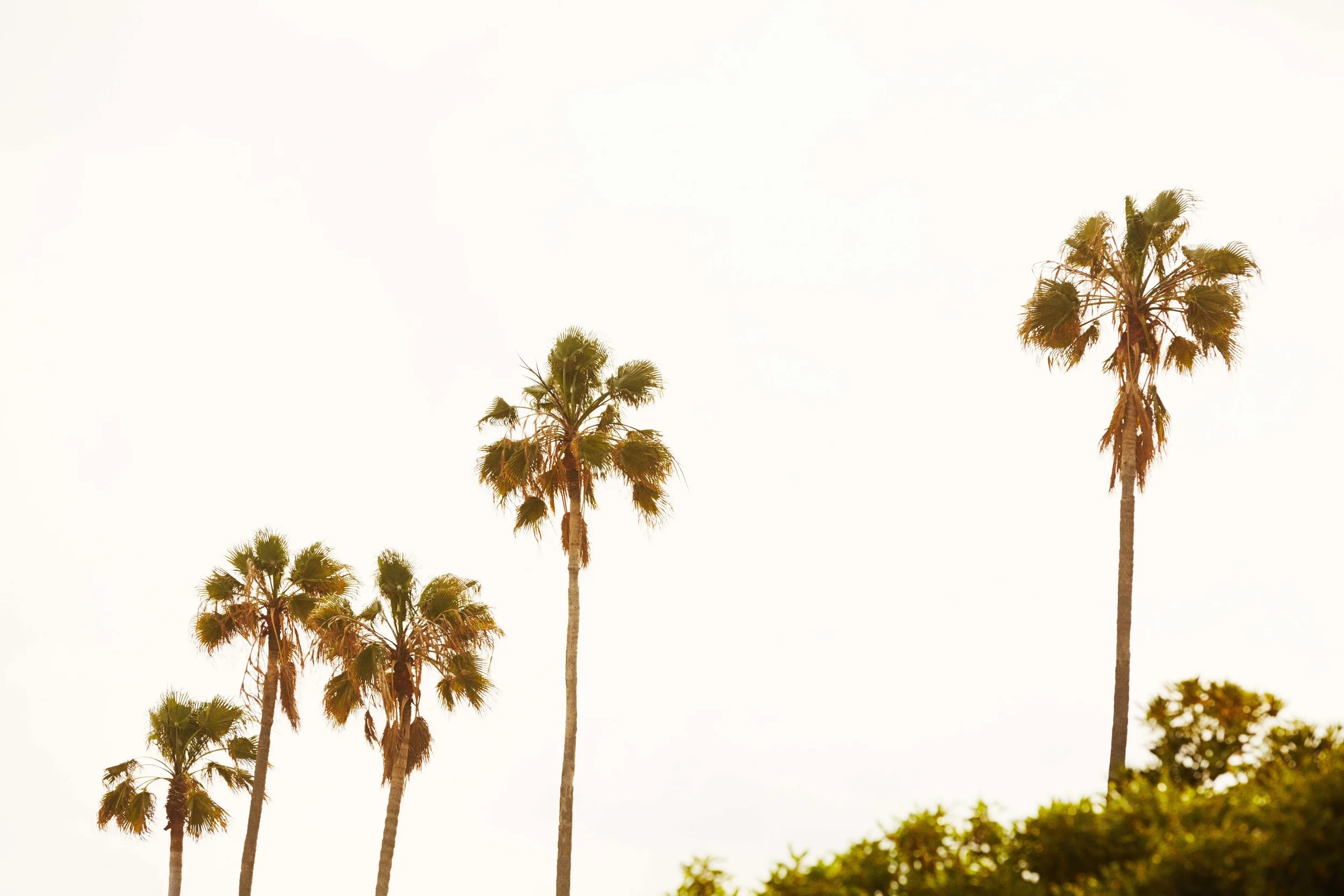 Look Book HOLIDAYS Bershka (13).jpg