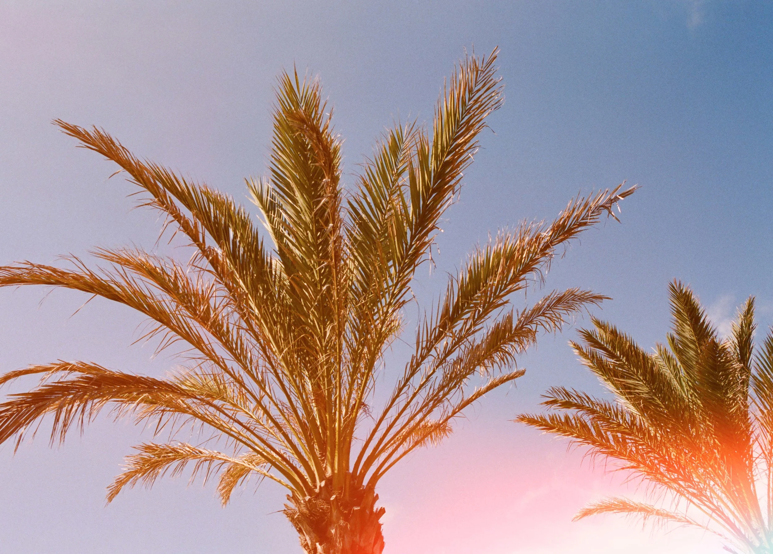 Look Book HOLIDAYS Bershka (16).jpg