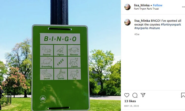 bingo.jpg