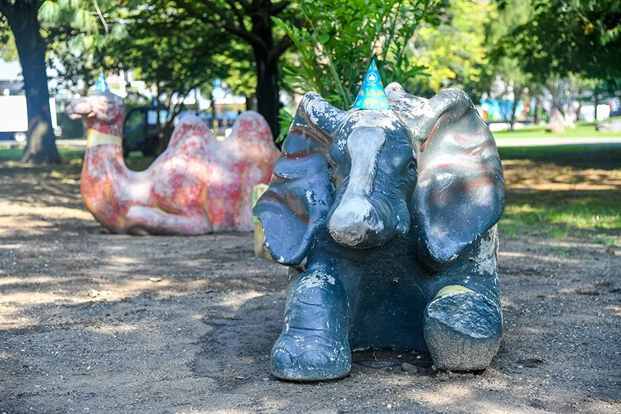 Elephant-Camel.jpg