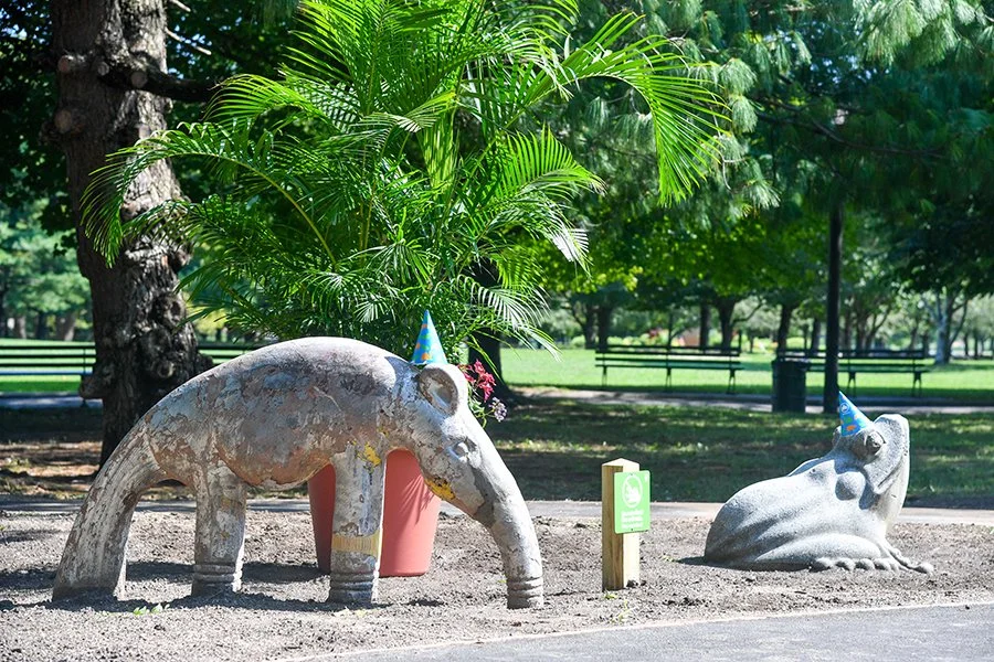 Aardvark-Frog.jpg