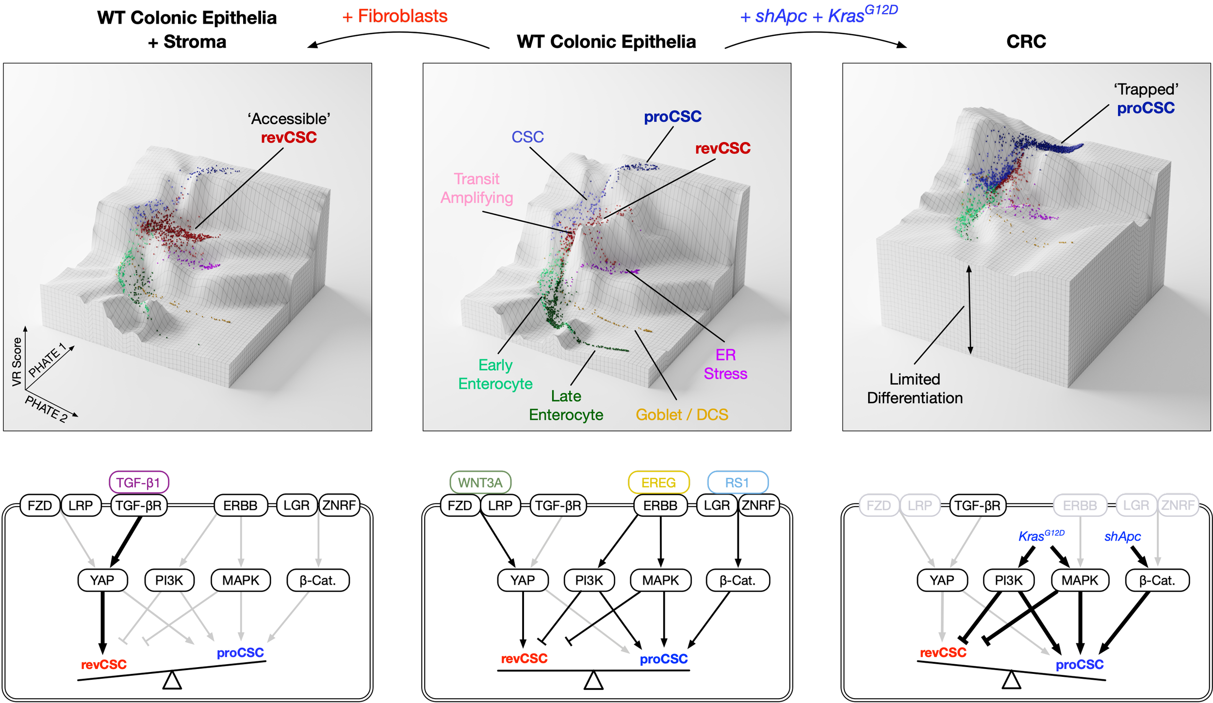 RESEARCH (New) — TAPE Lab