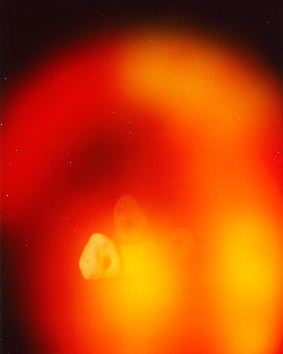 Aura-(Kyle-and-I),-with-Hag-Stones-II_2019_Archival-Pigment-Print_20x16.jpg